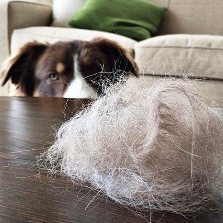 Cleanako Max™ Pet Hair Remover - Image 4