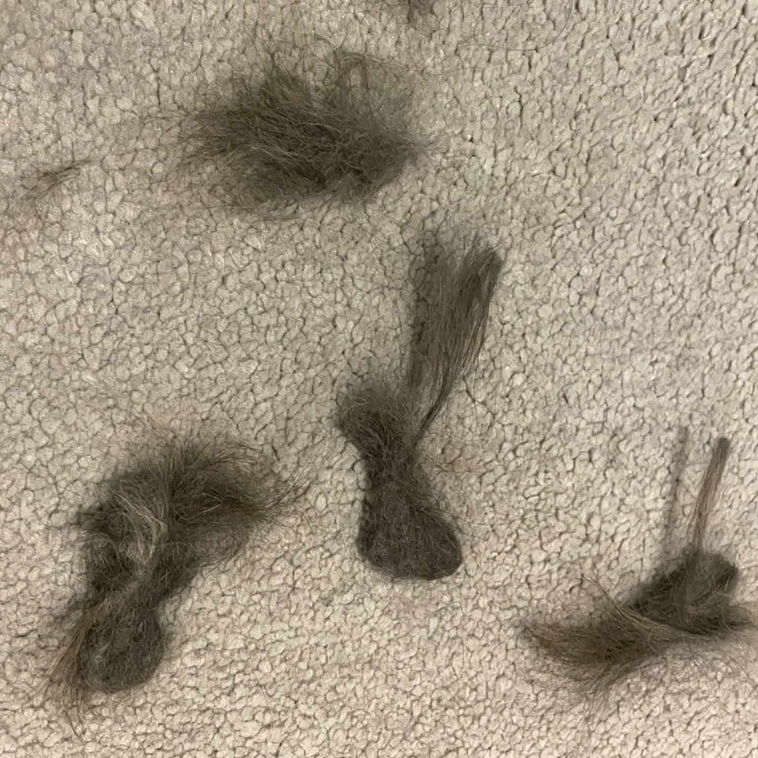 Cleanako Pro™ Pet Hair Remover - Image 6